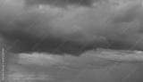 preview bw
