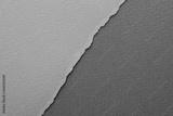 preview bw