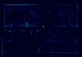 preview cold