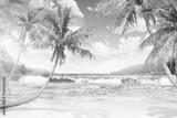 preview bw