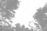 preview original