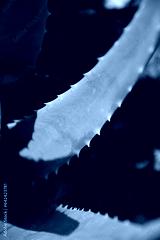 preview cold