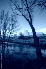 preview cold