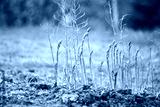 preview cold