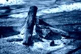 preview cold
