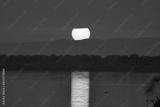 preview bw