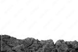 preview bw