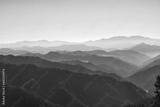 preview bw