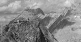 preview bw