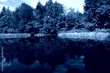 preview cold