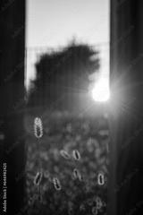 preview bw