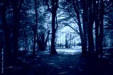 preview cold