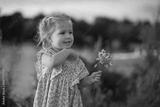 preview bw