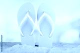 preview cold