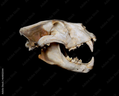image to crop