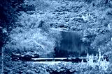 preview cold