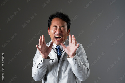 image to crop