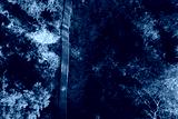 preview cold