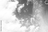 preview bw