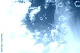 preview cold