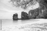 preview bw