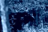 preview cold