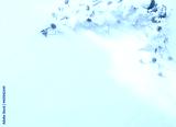preview cold