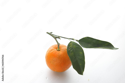 image to crop