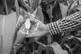 preview bw
