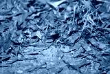 preview cold