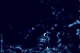preview cold