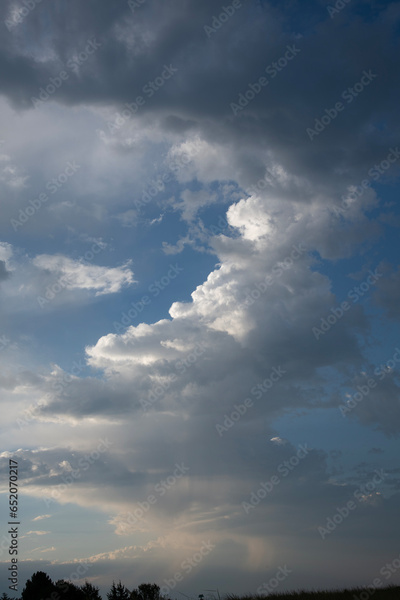 image to crop