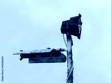 preview cold