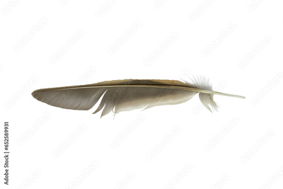 image to crop