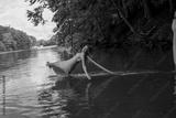 preview bw