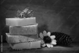 preview bw