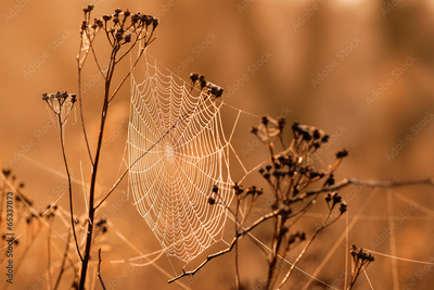image to crop