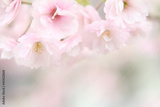 preview original