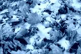 preview cold