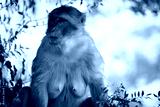 preview cold