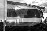 preview bw