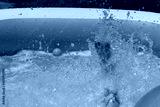 preview cold
