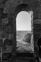preview bw