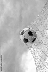 preview bw
