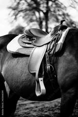 preview bw