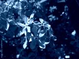 preview cold