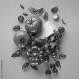 preview bw