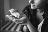 preview bw