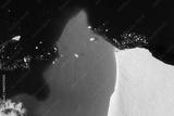 preview bw