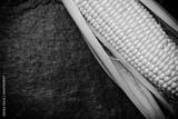 preview bw